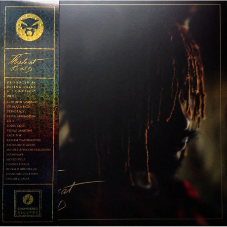 Thundercat - It Is What It Is (coloured) (5054429140439) винилов...