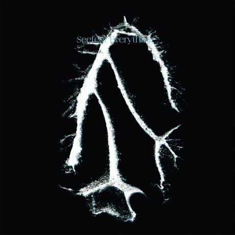 Seefeel - Everything Squared (EP) (5056614795776) виниловая пластинка - фото 1