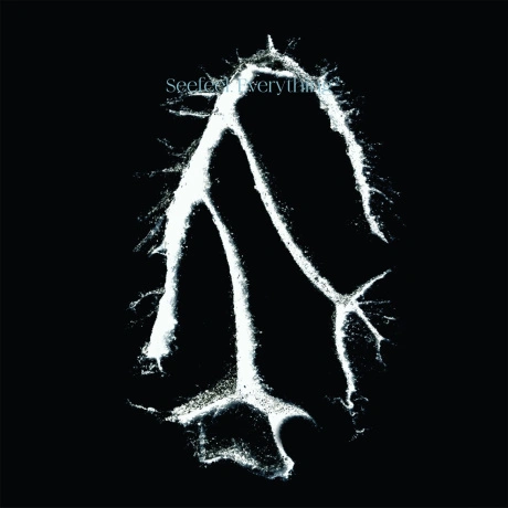 Seefeel - Everything Squared (EP) (5056614795776) виниловая плас...