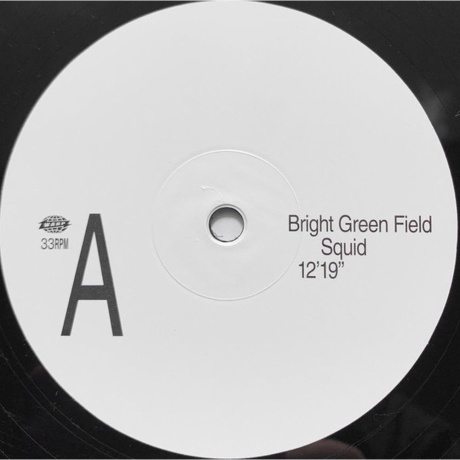 Squid - Bright Green Field (0801061031411) виниловая пластинка - фото 3