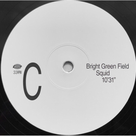 Squid - Bright Green Field (0801061031411) виниловая пластинка - фото 5