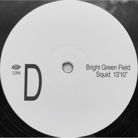 Squid - Bright Green Field (0801061031411) виниловая пластинка - фото 6