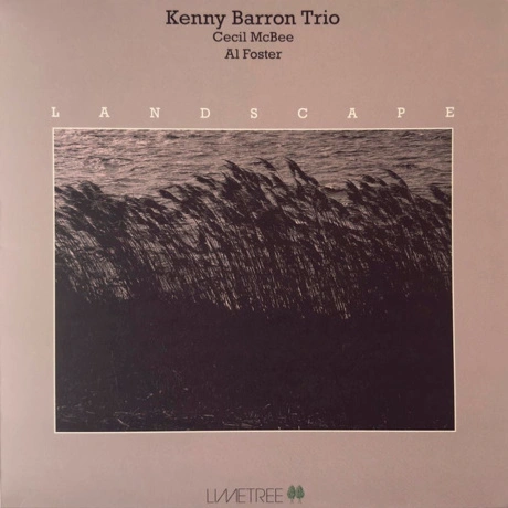 Kenny Barron - Landscape (8719262045071) виниловая пластинка