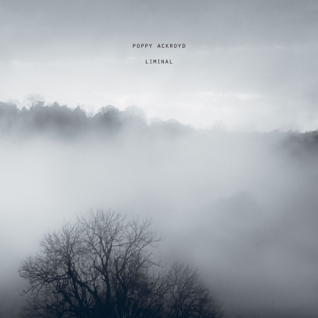 Poppy Ackroyd - Liminal (5016958110338) виниловая пластинка - фото 1