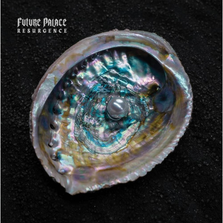 Future Palace - Resurgence (coloured) (0199584256511) виниловая пластинка - фото 2
