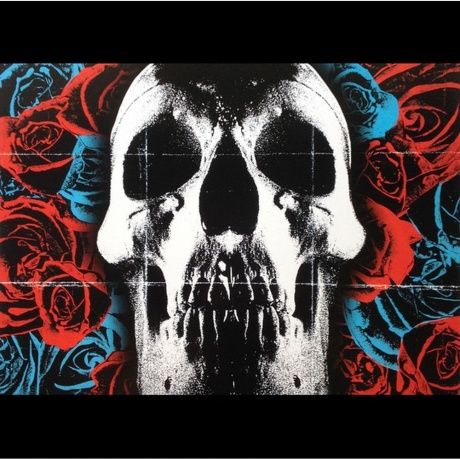 Deftones - Deftones (0093624835011) виниловая пластинка - фото 1