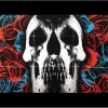 Deftones - Deftones (0093624835011) виниловая пластинка