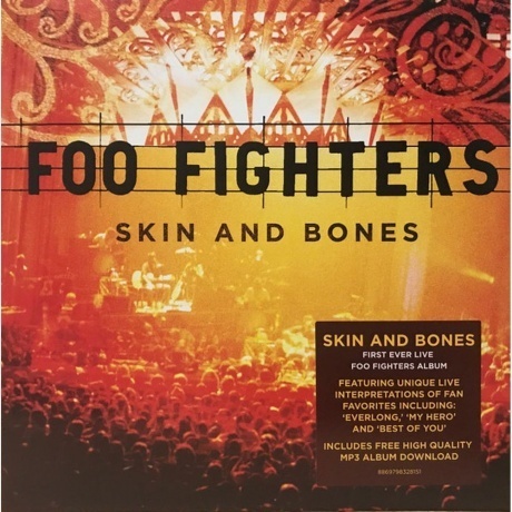 Foo Fighters - Skin and Bones (0886979832817) виниловая пластинка - фото 1