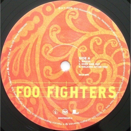 Foo Fighters - Skin and Bones (0886979832817) виниловая пластинка - фото 3