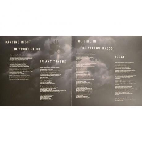 David Gilmour - Rattle That Lock (0888751232914) виниловая пластинка - фото 11