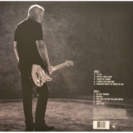 David Gilmour - Rattle That Lock (0888751232914) виниловая пластинка - фото 3