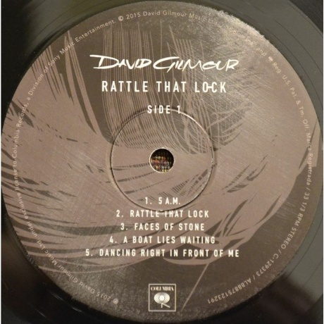 David Gilmour - Rattle That Lock (0888751232914) виниловая пластинка - фото 4