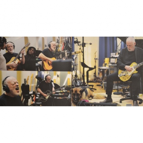 David Gilmour - Rattle That Lock (0888751232914) виниловая пластинка - фото 8