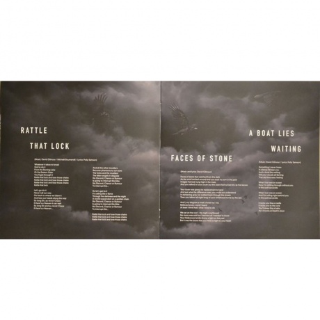 David Gilmour - Rattle That Lock (0888751232914) виниловая пластинка - фото 9