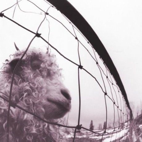 Pearl Jam, Vs. (Remastered) (0886978431318) виниловая пластинка - фото 1