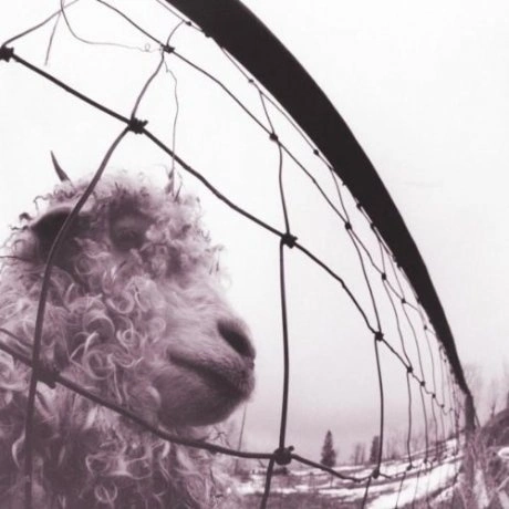 Pearl Jam, Vs. (Remastered) (0886978431318) виниловая пластинка
