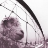 Pearl Jam, Vs. (Remastered) (0886978431318) виниловая пластинка