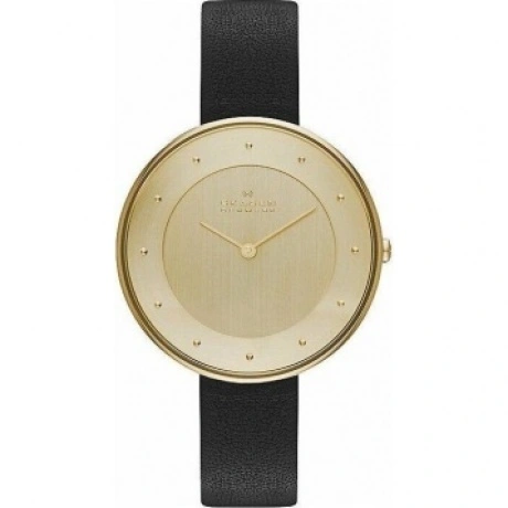 Наручные часы Skagen SKW2262