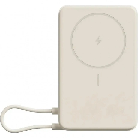 Внешний аккумулятор Xiaomi Magnetic Power Bank 10000 with Built-...