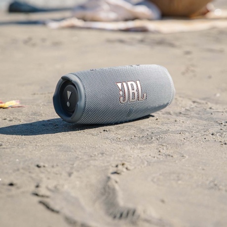 Портативная акустика JBL Charge 5 Grey - фото 10