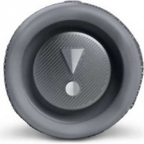 Портативная акустика JBL Flip 6 серый - фото 5