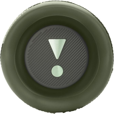 Портативная акустика JBL Flip 6 Squad - фото 10
