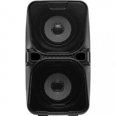 Портативная акустика Digma D-PS1505 черный (SP1505B) - фото 1