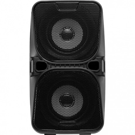 Портативная акустика Digma D-PS1505 черный (SP1505B)