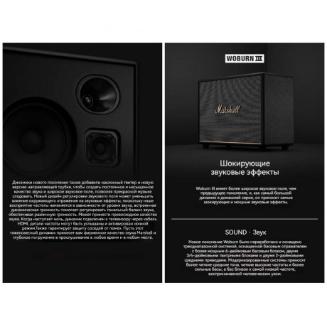 Портативная акустика Marshall Woburn III Black - фото 13