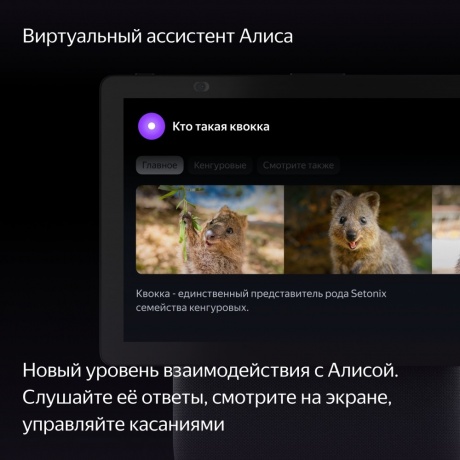 Умная колонка Яндекс Станция Дуо Макс (YNDX-00055) черный - фото 7