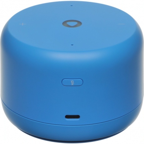 Умная колонка Яндекс.Станция Лайт 2 Blue YNDX-00026BLU - фото 3