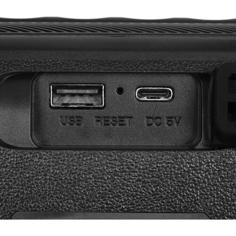 Портативная колонка Sven PS-255 (SV-022563) Black - фото 6