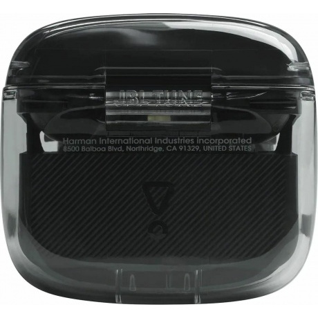 Наушники JBL Tune Flex Ghost (JBLTFLEXGBLKCN) Black - фото 7