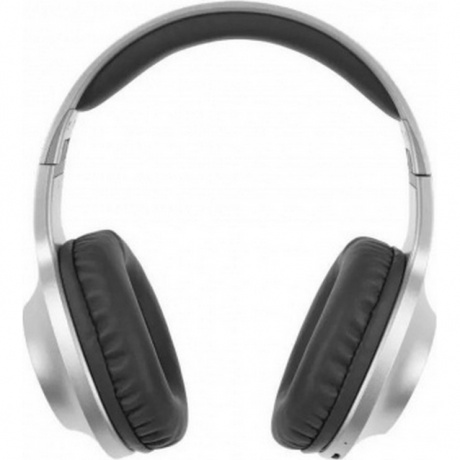 Наушники Panasonic RB-HX220BEES серый - фото 2