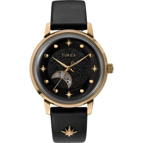 Наручные часы Timex TW2U54600