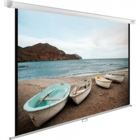 Экран настенно-потолочный Cactus WallExpert CS-PSWE-220X138-WT б...
