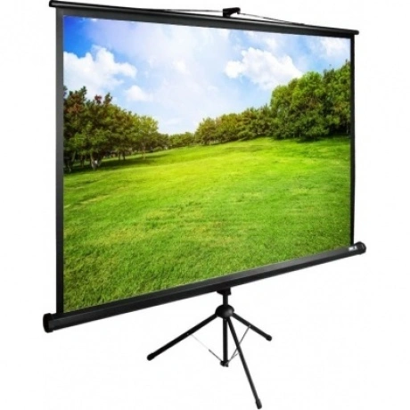 Экран напольный Cactus TriExpert CS-PSTE-200X150-BK черный