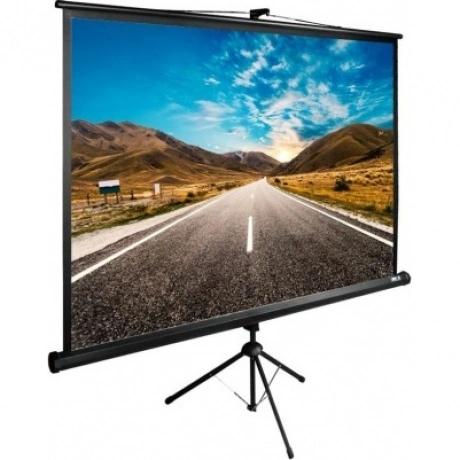 Экран напольный Cactus TriExpert CS-PSTE-160X160-BK черный