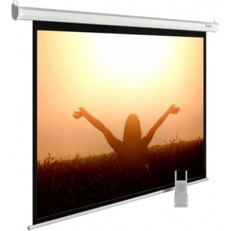 Экран настенно-потолочный Cactus MotoExpert CS-PSME-220X165-WT б...