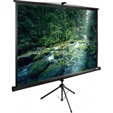 Экран напольный Cactus TriExpert CS-PSTE-220X165-BK черный - фото 1