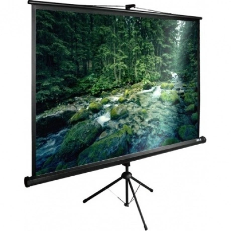 Экран напольный Cactus TriExpert CS-PSTE-220X165-BK черный