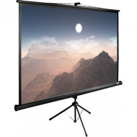 Экран напольный Cactus TriExpert CS-PSTE-180X180-BK черный - фото 1