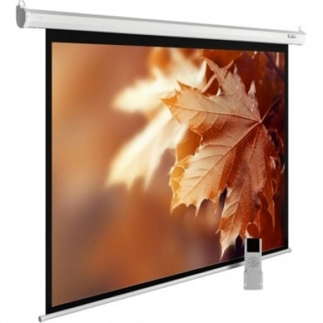 Экран настенно-потолочный Cactus MotoExpert CS-PSME-300X188-WT б...