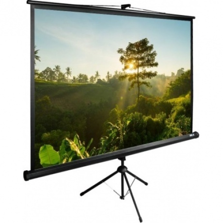 Экран напольный Cactus TriExpert CS-PSTE-200X200-BK черный - фото 1