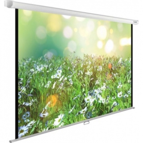 Экран настенно-потолочный Cactus WallExpert CS-PSWE-200X200-WT - фото 1