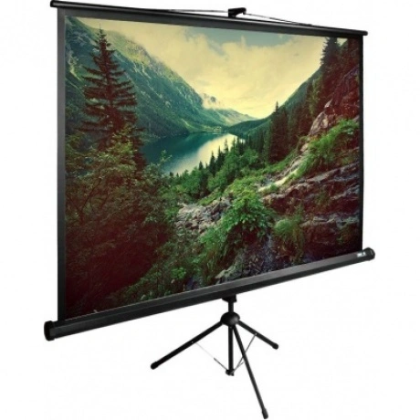 Экран напольный Cactus TriExpert CS-PSTE-220X220-BK черный