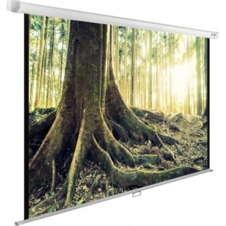 Экран настенно-потолочный Cactus WallExpert CS-PSWE-220X220-WT