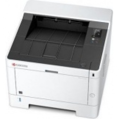 Принтер лазерный Kyocera Ecosys P2235dn (1102RV3NL0) A4 Duplex Net - фото 3