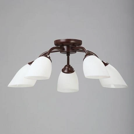 Люстра V3252/5PL, 5хЕ14 макс. 40Вт, плафон ПП