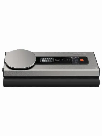 Вакуумный упаковщик Garlyn V-600
